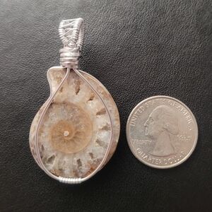Crystalized Ammonite Pendant